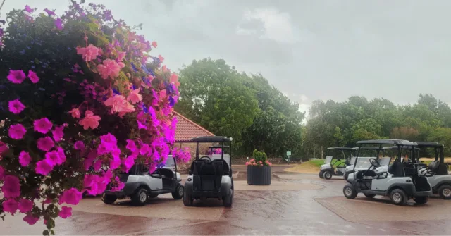 The welcome site of rain after a very hot sunny summer means we have very happy hanging baskets @thornburygolfcentre 😃🌧️ #GolfLifestyle #hangingbaskets #lovetherain #golfcourselife #visitbristol #ThornburyGolfCentre #thornbury @spotted_in_thornbury_bs35